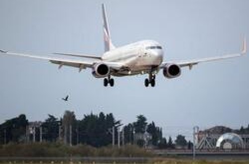 Bu gün Moskvanın hava limanlarında 80-dən çox aviareys ləğv edilib