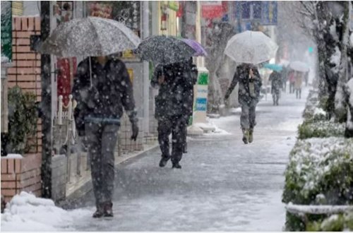 Yaponiyada güclü qar yağması səbəbindən 230-dan çox aviareys təxirə salınıb