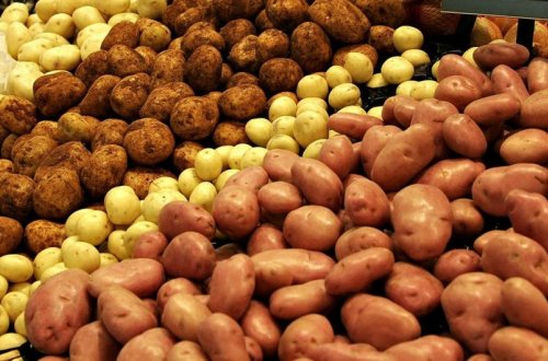 Azərbaycan Ukraynadan kartof idxal edən ölkələr arasında ikinci olub