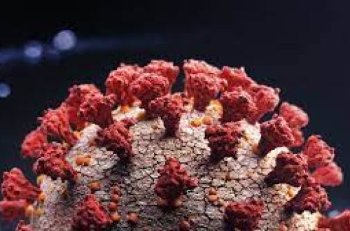 Ekspert: “Omikron”la bağlı gərginlik üç ay davam edəcək