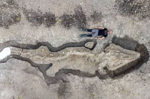 Britaniyada indiyə qədər aşkarlanan ən böyük “Dəniz əjdahası” tapılıb - FOTO/VİDEO