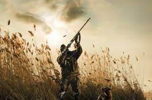 Ötən il qanunsuz ov etdiyinə görə cərimələnən şəxslərin sayı açıqlanıb