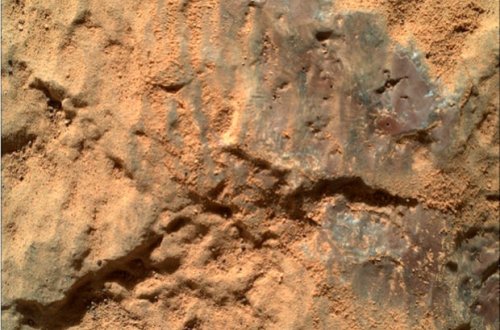 NASA roveri Marsdakı sirli bənövşəyi ləkələri araşdırıb