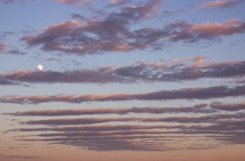 Azərbaycanda havanın sabitləşəcəyi vaxt açıqlanıb