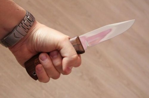 “Qaynım gəlinimin yanında lüt gəzirdi” - Bakıda bağ evində olay