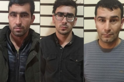 Mingəçevirdə fermadan mal-qara oğurlayan şəxslər saxlanılıb