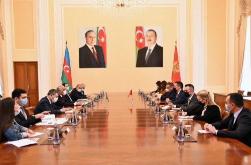 Əli Əsədov Monteneqro parlamentinin sədri ilə görüşüb