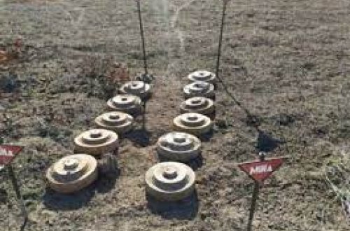 Şuşada aşkarlanan minaların sayı açıqlanıb