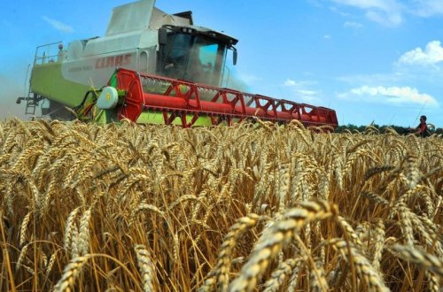 Hökümət azad edilmiş torpaqların kənd təsərrüfatı potensialını qiymətləndirib