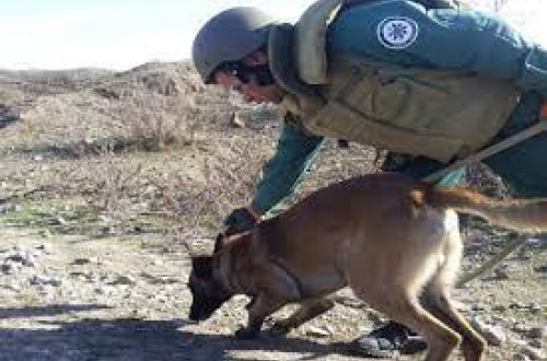 Marşal İrsi İnstitutu Azərbaycanda minatəmizləmə işlərini sürətləndirir