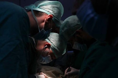 Dünyada ilk dəfə insana donuzun 2 böyrəyi köçürüldü