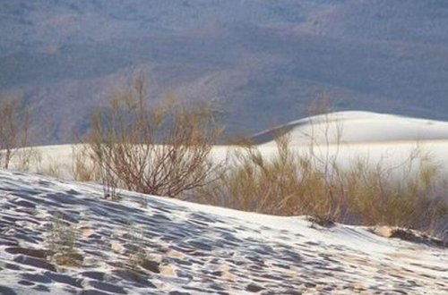 Sahara səhrasına qar yağdı - VİDEO