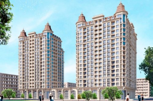 35 minlik ağacları kəsən şirkət cəzalandırıldı