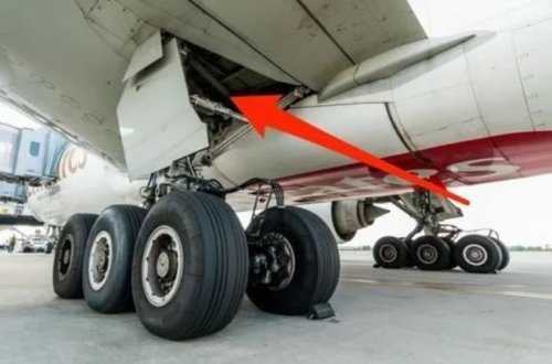 Мужчина долетел из Африки в Нидерланды в отсеке шасси