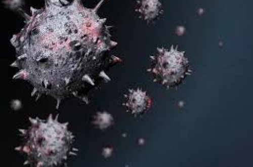 Назван симптом, встречающийся у 73% заразившихся 