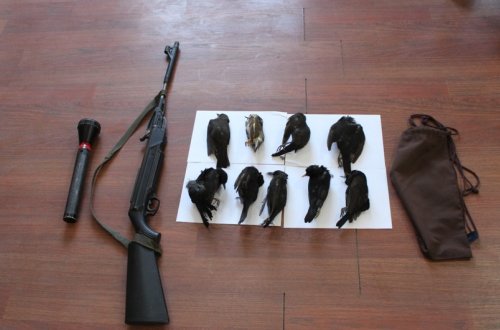 Balakəndə qanunsuz ov edən qonşular saxlanılıb