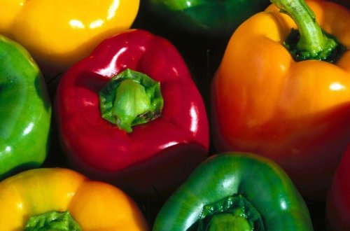 Rusiya Azərbaycandan idxal olunan 14 tona yaxın bibəri geri qaytarıb