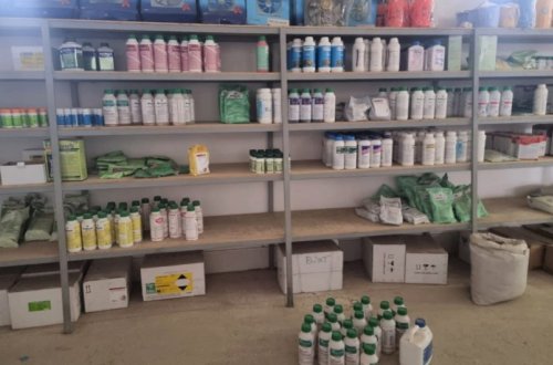 Tovuzda bitki mühafizə vasitələrinin satış məntəqəsində nöqsanlar aşkarlanıb