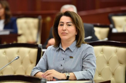 Millət vəkilinin bu fotosu tənqid olundu - FOTO 