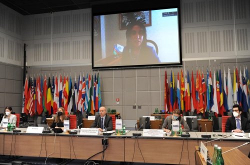 Azərbaycan Ombudsmanı ATƏT-in tədbirində Ermənistan nümayəndəsinin iddialarına tutarlı cavab verib