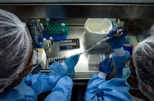 Rusiyalı ekspert: “Omicrondan sonra formalaşan immunitet digər ştamlardan qorunmayacaq”