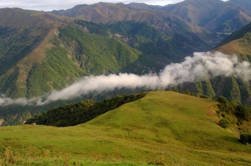 Qoruğun mühafizə rejimini pozanlar cəzalandırıldı