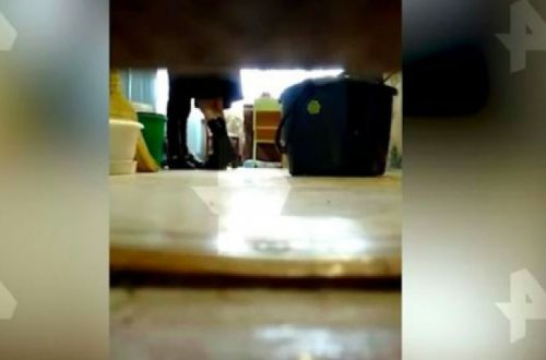 Sinif otağında intim münasibət: daha bir biabırçı video yayıldı