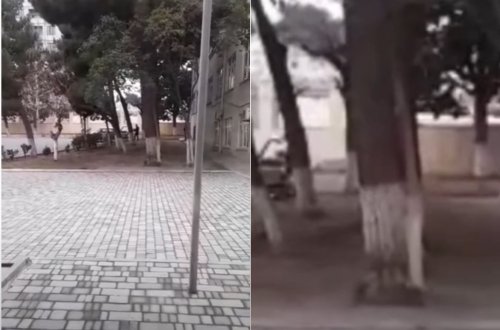 İnternat məktəbinin direktoru ərzaqları şəxsi maşınına yüklətdirir? - RƏSMİ AÇIQLAMA