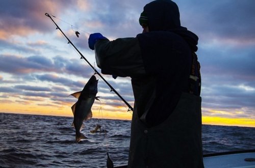 Qızılağac Milli Parkında qanunsuz balıq ovlayan şəxs saxlanılıb