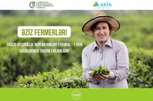 Yazlıq və çoxillik əkin bəyanlarının qəbuluna start verilib