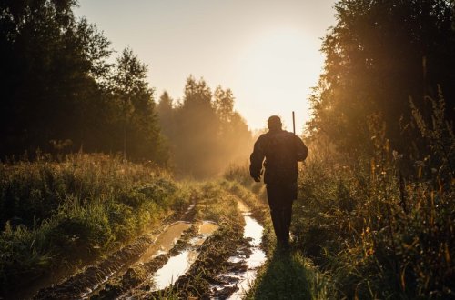 Azərbaycanda qanunsuz heyvan ovuna görə cərimələr 10 dəfə artırılır
