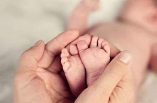 Bakıda koronavirusa yoluxan iki hamilə qadından biri üçəm, digəri dördəm dünyaya gətirdi