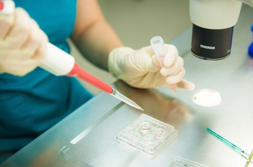 Donor əvəzinə öz spermasından istifadə edən həkim 21 uşaq atası oldu