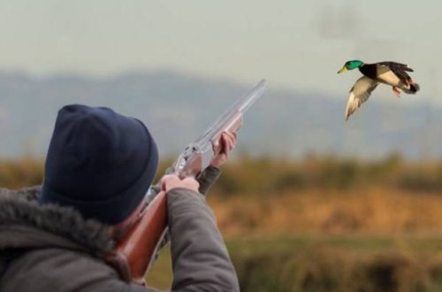 В Азербайджане усиливается общественный контроль за охотой
