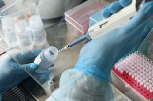 Qonşu ölkədə “omikron”un daha yoluxucu növü tapıldı