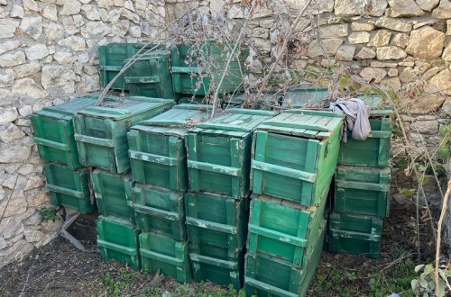 Cəbrayılda xeyli sayda mina aşkarlanıb-FOTO