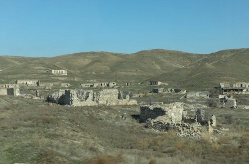 Azad edilmiş ərazilərdə itmək təhlükəsində olan 65 bitki növü aşkar edilib