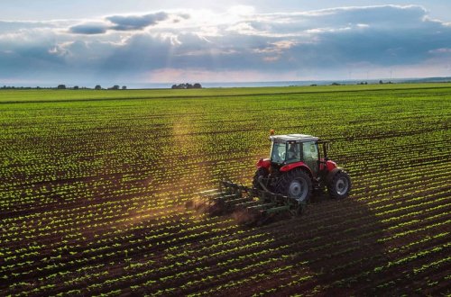Azərbaycanda aqrar sektorun maliyyələşdirilməsinə dair yeni mərhələ başlayır