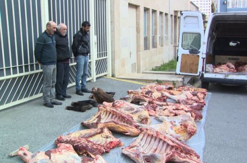 Xaçmazda at əti satan şəxslər həbs edildi - FOTO/VİDEO
