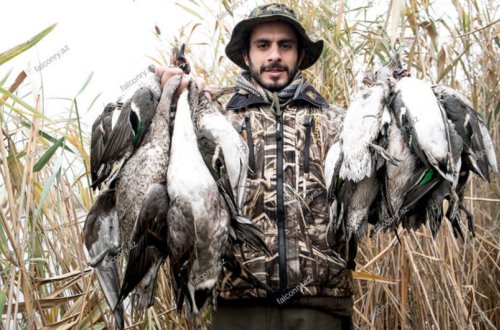 Azərbaycanda qanunsuz ovçuluğu təşviq edən sayt fəaliyyət göstərir