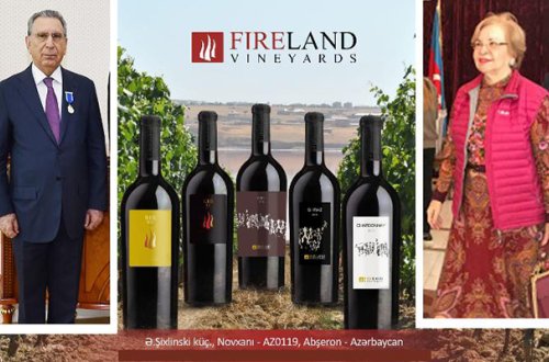 Ramiz Mehdiyevin həyat yoldaşı 3 ayda 326 min borc ödəyib