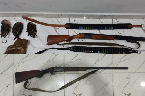 Astarada qanunsuz ov edən şəxs aşkarlanıb, 1 ədəd ov tüfəngi götürülüb