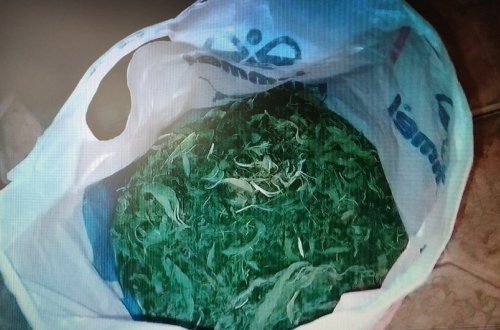 İsmayıllıda evində narkotik gizlədən şəxs saxlanılıb