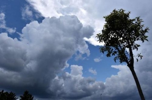 Bazar gününə olan hava proqnozu açıqlanıb