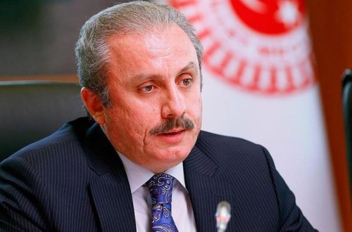 Türkiyə parlamentinin sədri Gürcüstana rəsmi səfər edəcək