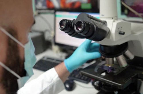 Ученые подтвердили существование гибридов штаммов 