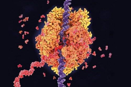 Разработчик вакцины от COVID начал создание прививки от рака, герпеса и ветрянки