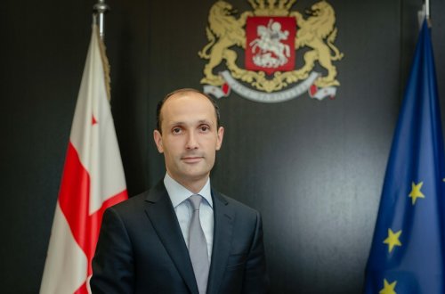 Nazir: “Gürcüstan Ukraynadan qaçqın qəbuluna hazırdır”