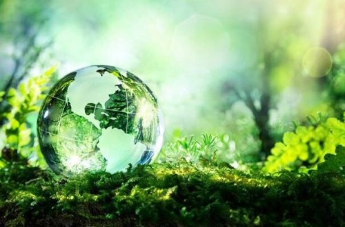 “Ekologiyanı qorumaq kampaniya deyil, vətəndaş məsuliyyəti ilə tənzimlənməlidir” - ARAŞDIRMA