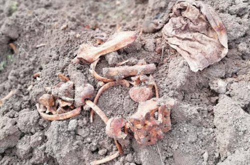 Xocavəndin Edilli kəndindəki kütləvi məzarlıqda 15-20 azərbaycanlının basdırıldığı məlum olub